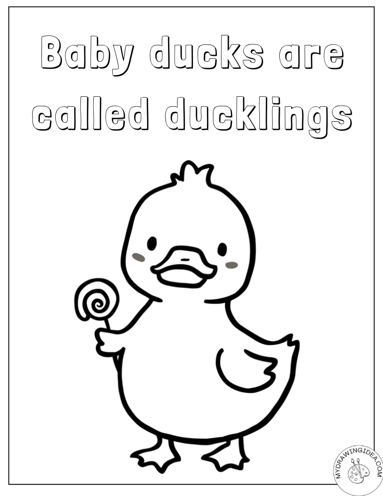 Adorable Baby Duck Holding Candy Coloring Pages Ducks